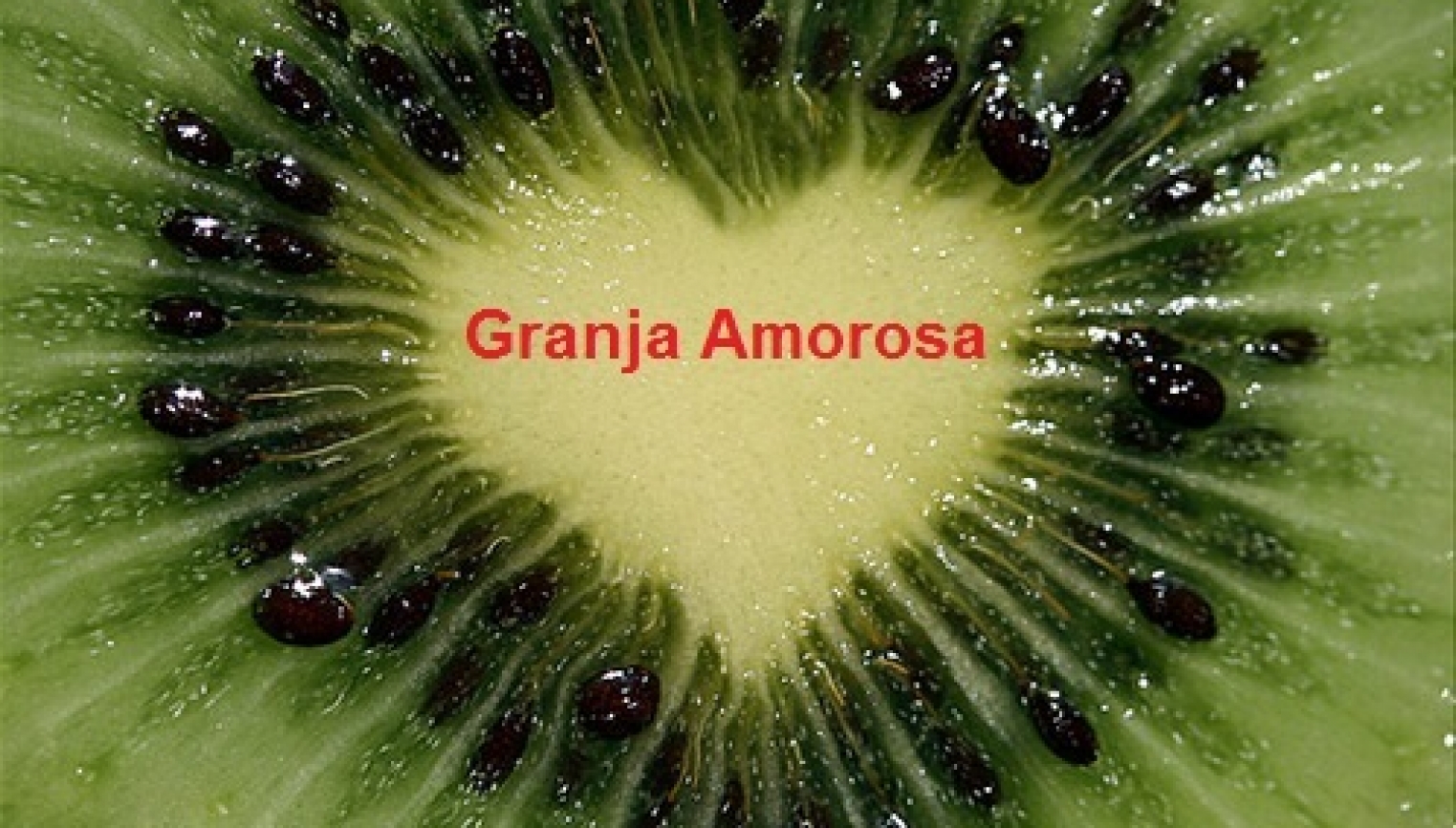 Granja Amorosa - foto 1/1